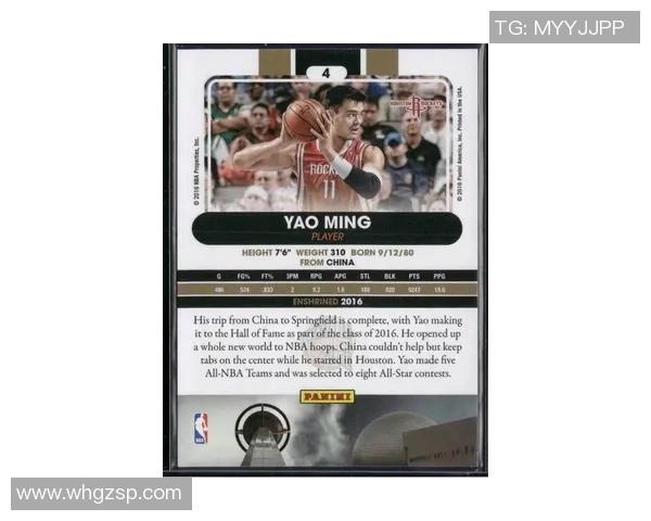 姚明携手王者荣耀开启电竞新篇章展现运动员的另一种魅力与挑战