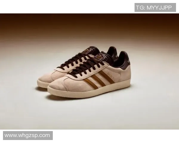 足球明星阿迪达斯代言费揭秘背后的商业价值与市场影响分析